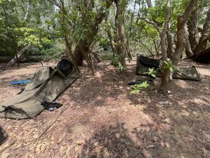 Camping close to croc habitat is a safety risk