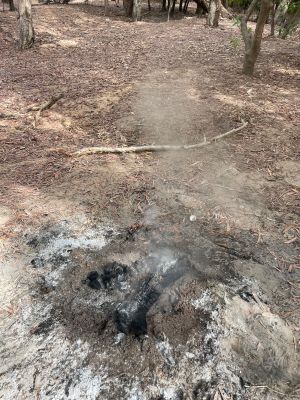 Illegally lit campfires pose a risk to the environment and the community