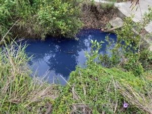 Image of blue water in Eagle Farm creek
