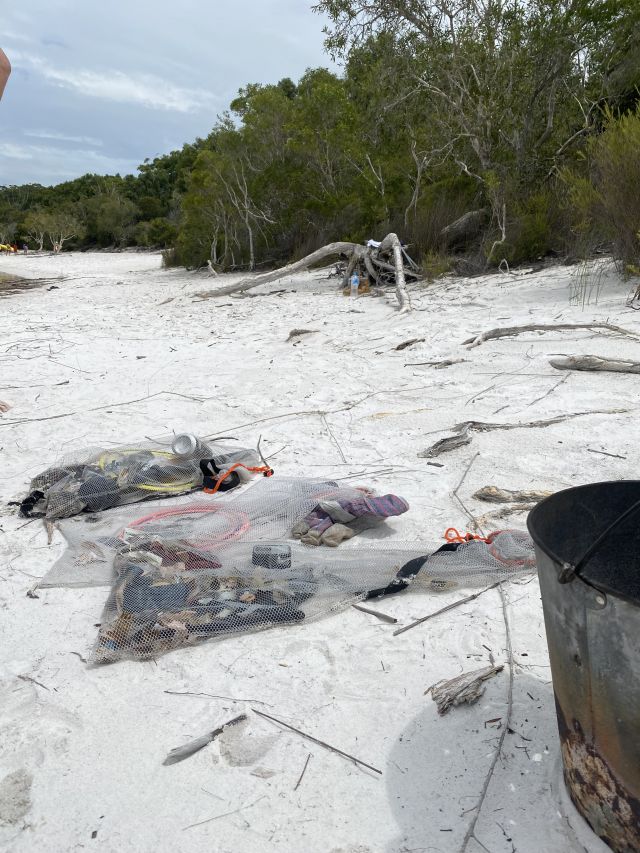Photo of hundreds of pieces of plastic collected from Boorangoora (Lake McKenzie) by QPWS and Butchulla rangers.