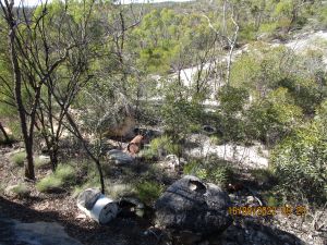 Rangers described the waste as disgusting and want people to report illegal dumping.