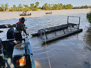 Photo of Wildlife Officers installing a croc trap on the Fitzroy River