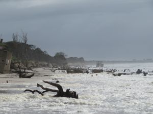 Exposed rocks, mangrove roots and deep channels have caused hazards on the Bribie foreshore.