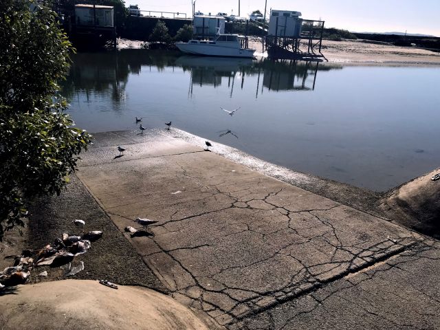 Photo of fish frames and discarded bait at a boat ramp.