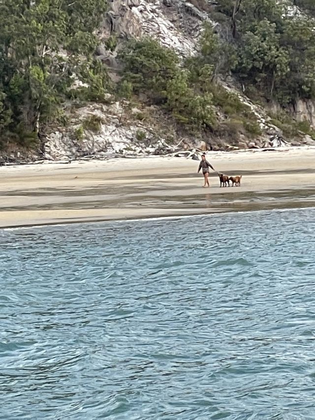 Photo of a woman walking dogs on K'gari.