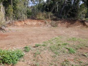 The property owner cleared land and built a dam that significantly encroached on Dryander National Park