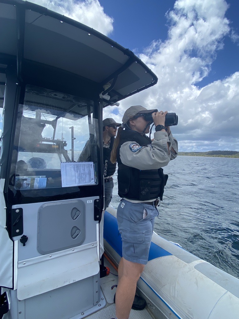 Rangers searching the waters following reports of a crocodile at Minjerribah.